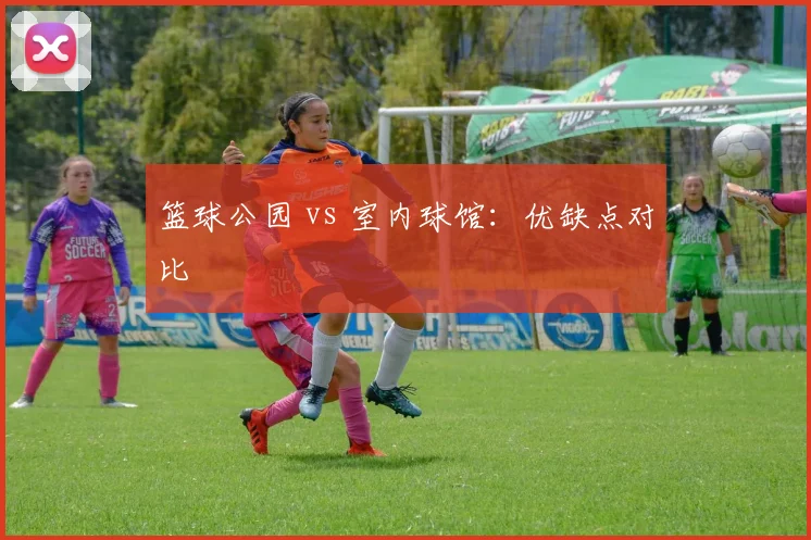 篮球公园 vs 室内球馆：优缺点对比
