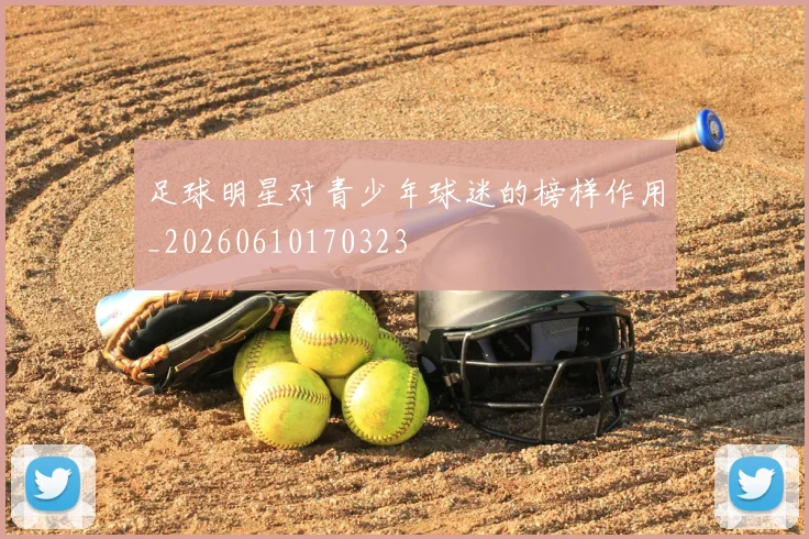 足球明星对青少年球迷的榜样作用_20260610170323