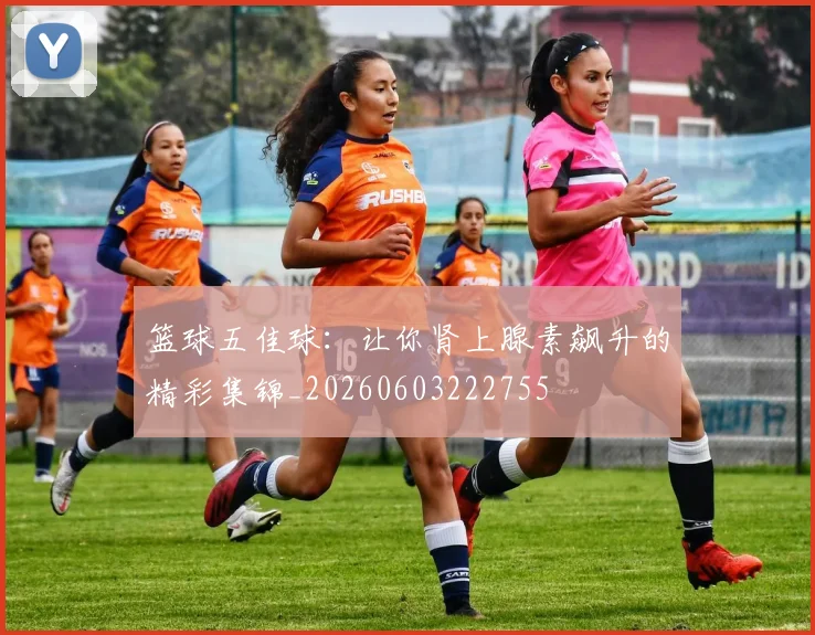 篮球五佳球:让你肾上腺素飙升的精彩集锦_20260603222755