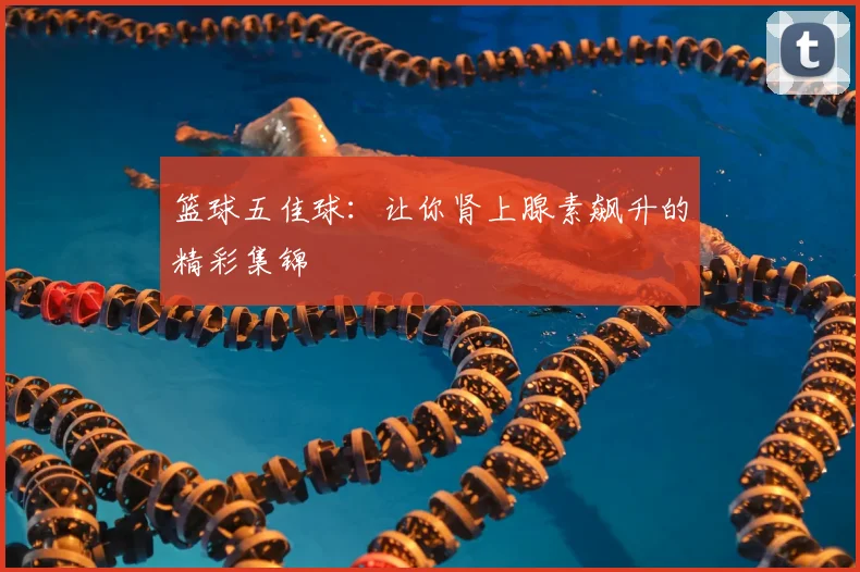篮球五佳球:让你肾上腺素飙升的精彩集锦
